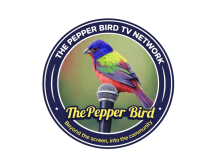 Site Logo